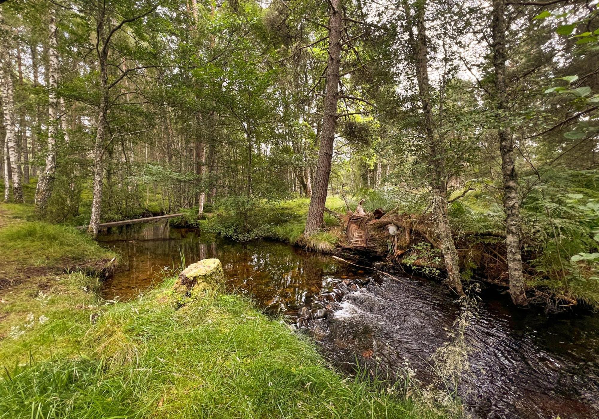 Cairngorm Lodge Rothiemurchus Авимор Екстериор снимка